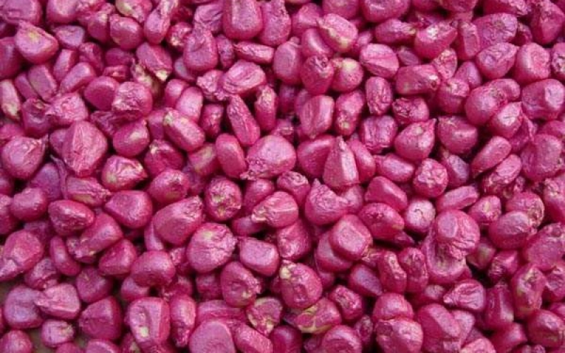 種子包衣測量方案- filmetrics F3-s1310 膜厚測量儀